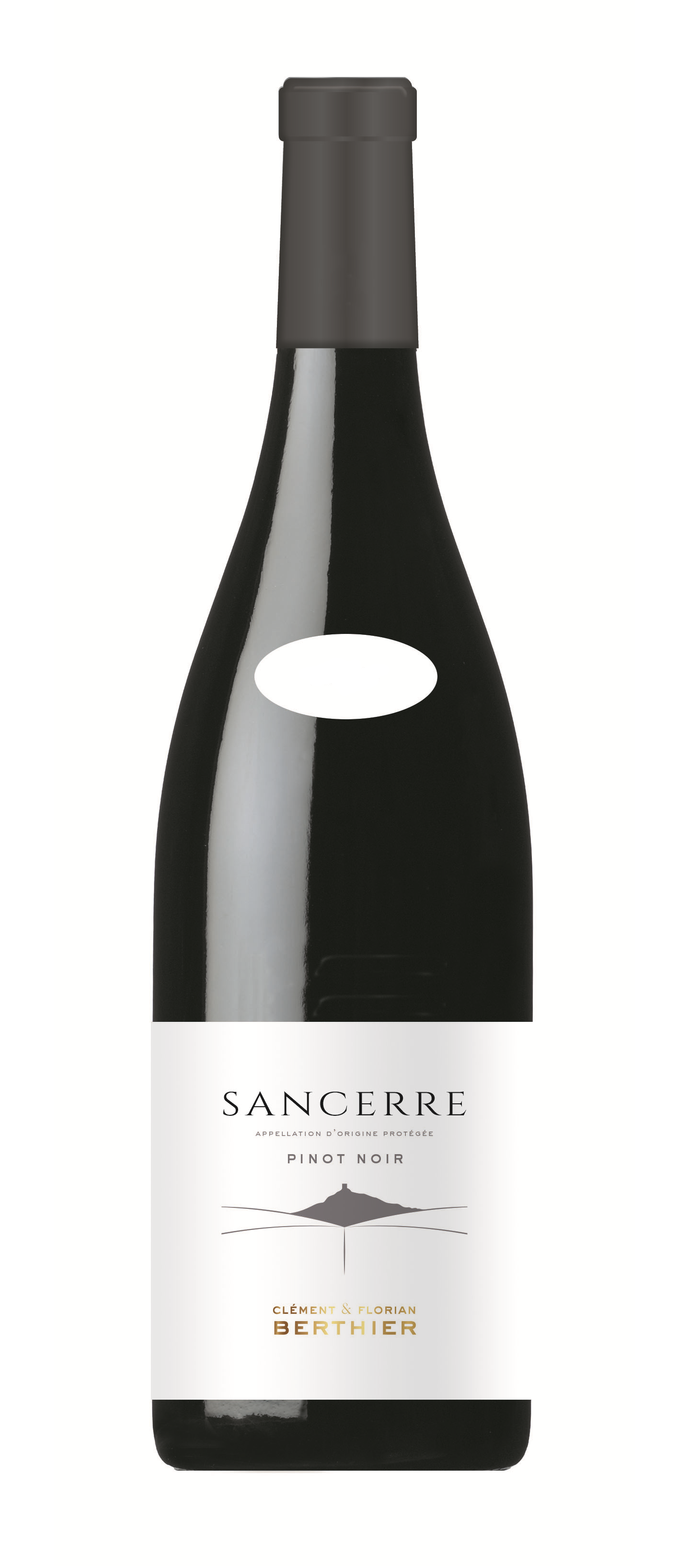 2021 Clement & Florian Berthier Sancerre Rouge - click image for full description