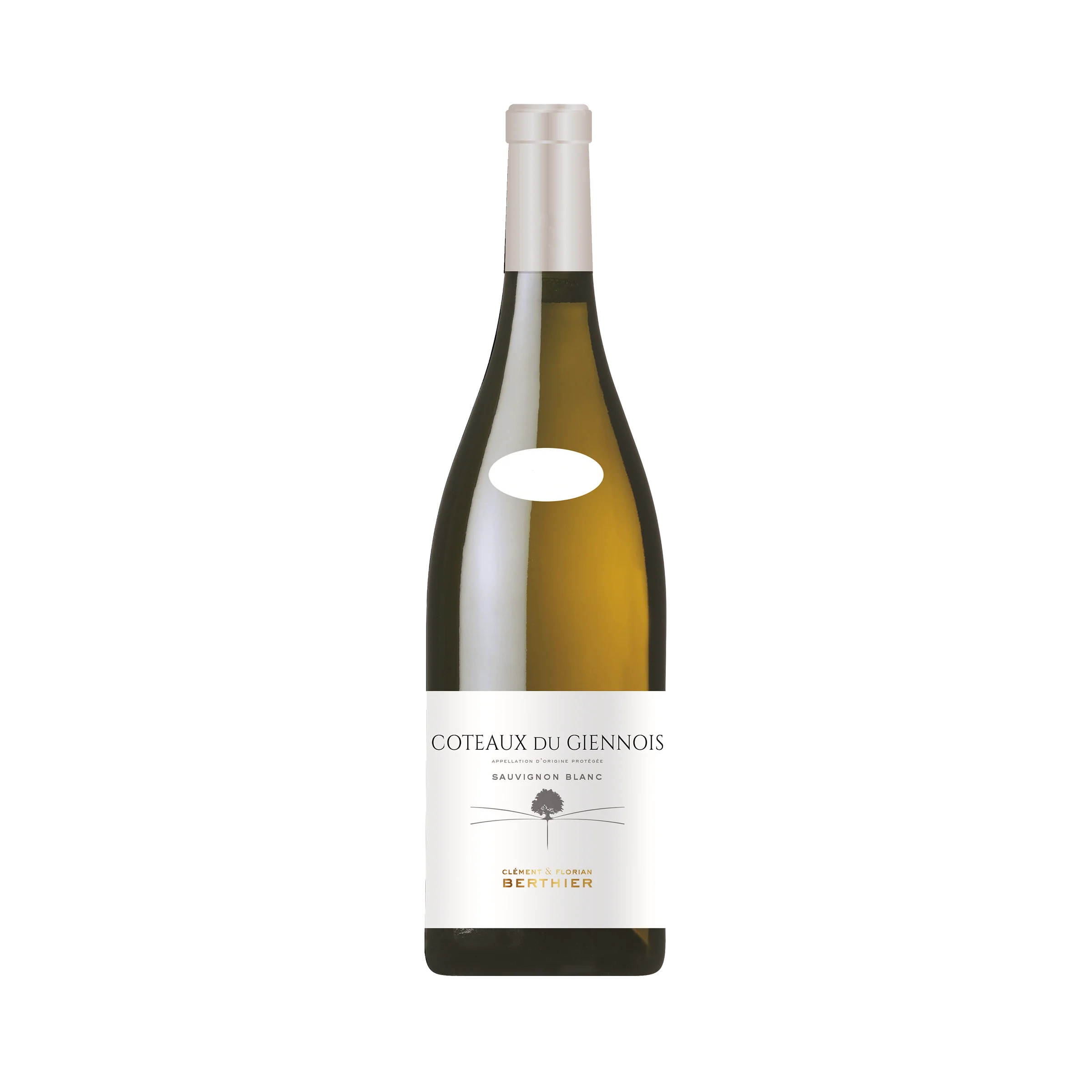 2022 Clement & Florian Berthier Coteaux du Giennois Sauvignon Blanc - click image for full description