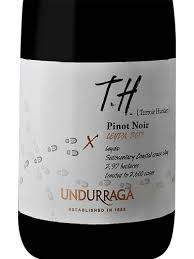 2013 Undurraga Terroir Hunter Pinot Noir image