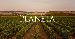 Planeta Wine | Italian winery