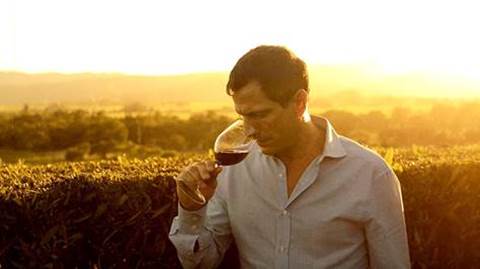 Signorello Estate - The Napa Wine Project