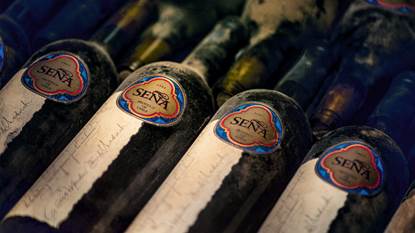 A group of wine bottles  Description automatically generated