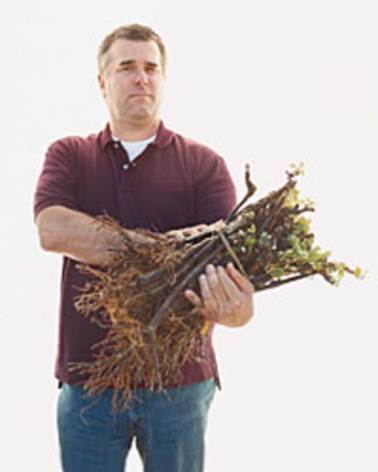 Image result for Mark Aubert