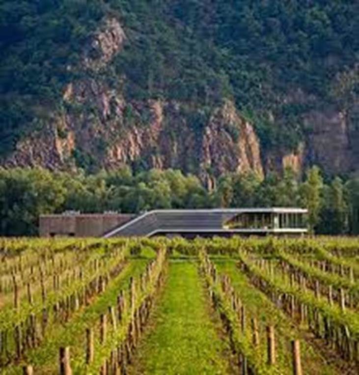 Weingut FX Pichler - Wine Establishment