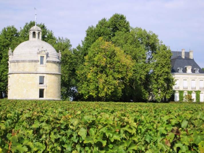 http://www.bordeauxinvestmentwines.co.uk/images/content/chateau-latour-2.jpg