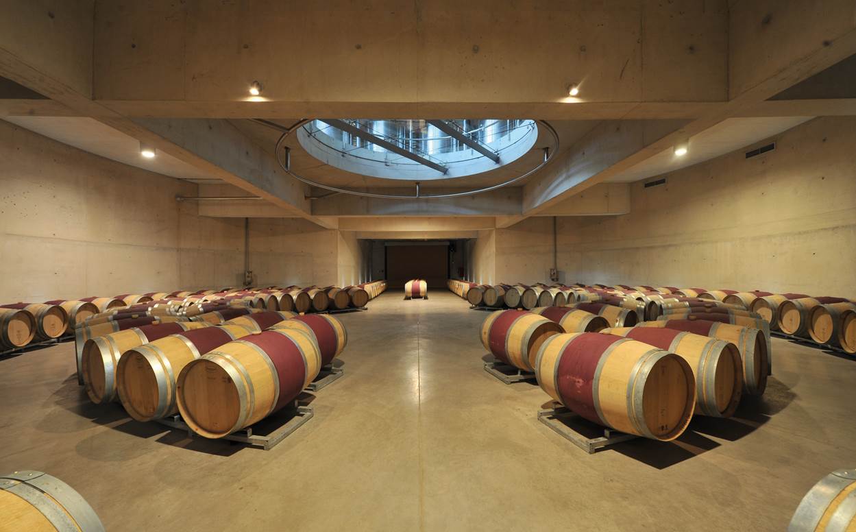 Several rows of wine barrels in a room  Description automatically generated