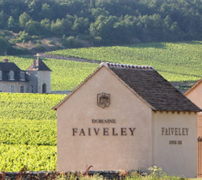 Image result for domaine faiveley