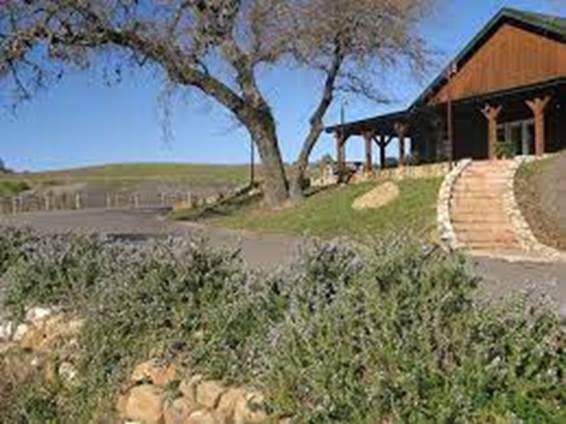 A tree next to a building  Description automatically generated with low confidence