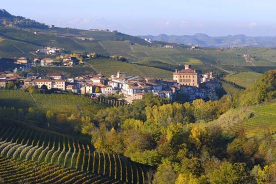 http://www.walksofitaly.com/blog/wp-content/uploads/2013/05/the-village-of-Barolo-Piedmont-Italy-.jpg