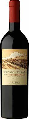 Catena Zapata Adrianna Vineyard Mundus Bacillus Terrae Malbec 2019 750ml -  Station Plaza Wine