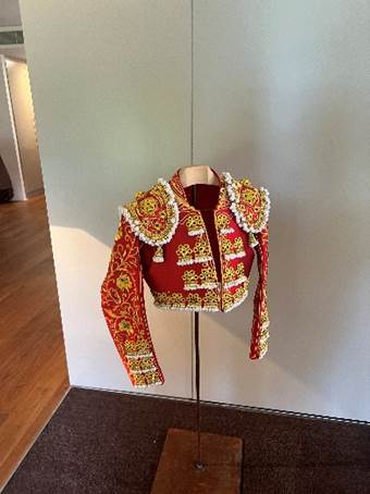 A red and gold jacket  Description automatically generated