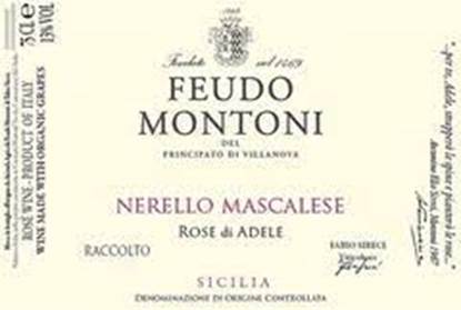 Feudo Montoni Sicilia Nerello Mascalese Rose di Adele 2021 – Grand Wine  Cellar